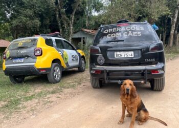 Homem armado que sequestrou ex-companheira morre em confronto com a CIOC