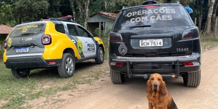 Homem armado que sequestrou ex-companheira morre em confronto com a CIOC