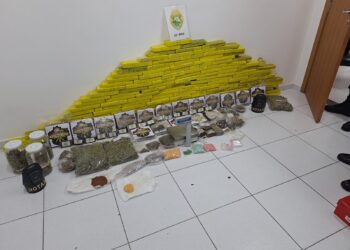 ROTAM apreende grande quantidade de drogas após abordagem no Cajuru