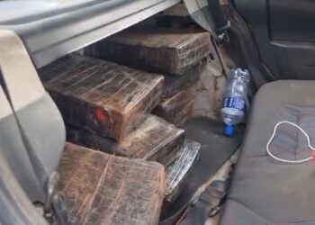 PRF apreende mais de 150 kg de maconha na BR-476, em Araucária