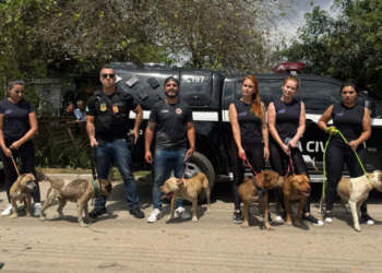 PCPR prende homem por maus tratos a seis cães da raça pitbull, e resgata animais em Curitiba