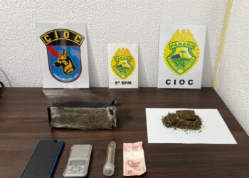 CIOC apreende drogas em Guaratuba com apoio de cães farejadores