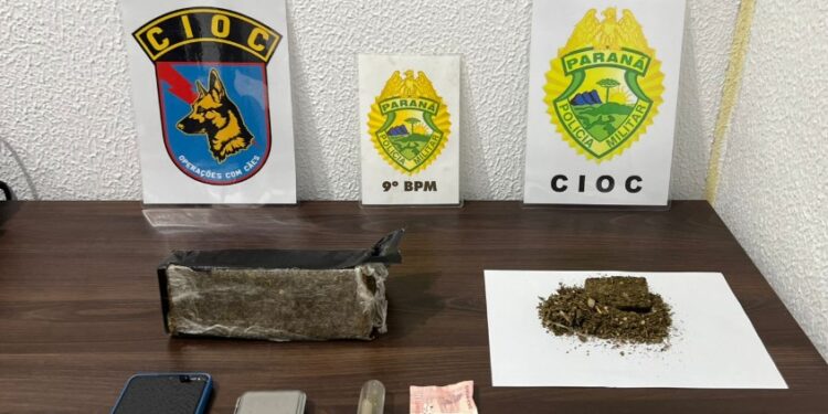 CIOC apreende drogas em Guaratuba com apoio de cães farejadores