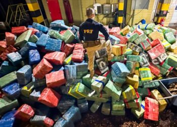 PRF apreende 284 toneladas de drogas no Paraná em 2024 e bate recorde histórico