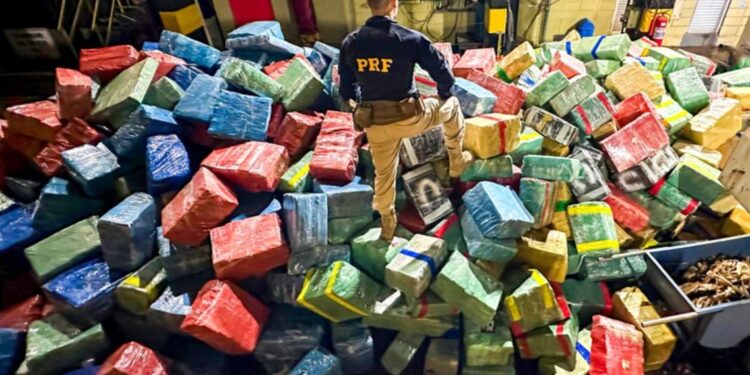 PRF apreende 284 toneladas de drogas no Paraná em 2024 e bate recorde histórico