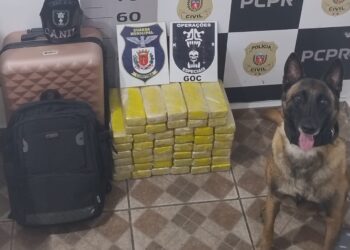 Adolescente é apreendida com quase 35 quilos de maconha na Rodoferroviária de Curitiba
