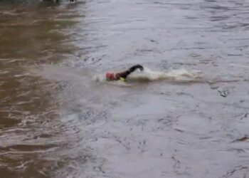 Bombeiros resgatam 10 pessoas ilhadas por cabeça d’água em Antonina