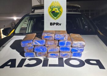 Mulher que descia para BC com mala recheada de maconha é presa