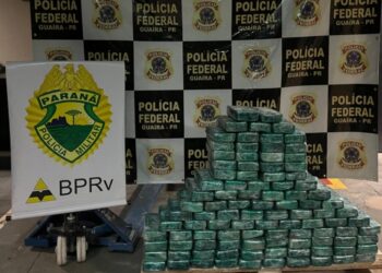 Policias apreendem carregamento milionário de pasta base de cocaína no Paraná