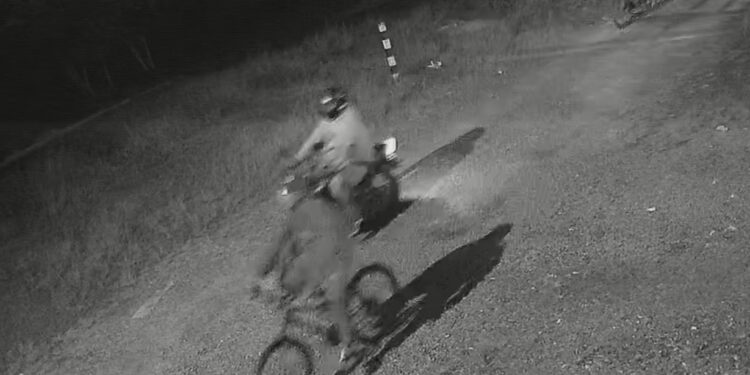 Divisão de Homicídios esclarece execução e prende autor do crime em Curitiba