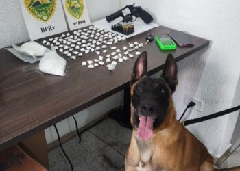 Polícia Rodoviária Estadual apreende drogas e arma no litoral