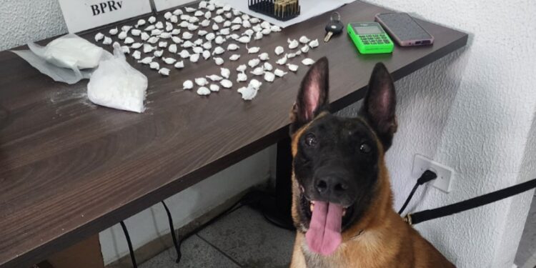 Polícia Rodoviária Estadual apreende drogas e arma no litoral