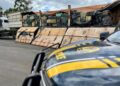 PRF apreende quase 4,5 toneladas de maconha na BR-277