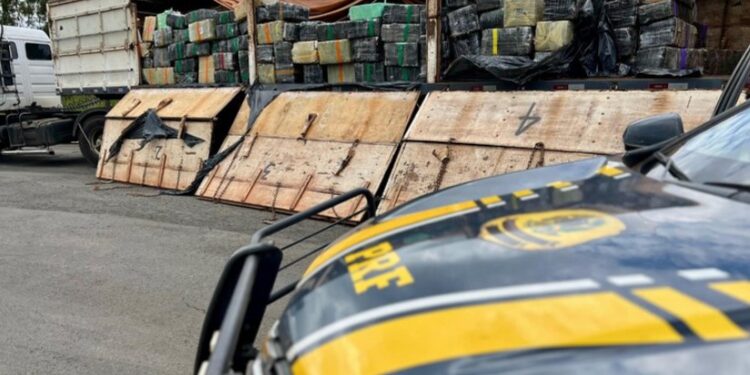 PRF apreende quase 4,5 toneladas de maconha na BR-277