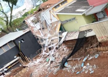 COSEDI interdita imóveis após desabamento; 16 animais e quatro pessoas foram resgatadas ilesas