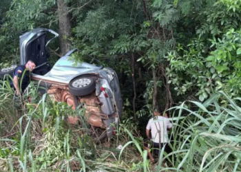 Após 22 dias, cachorrinha que ficou perdida depois de acidente é encontrada, no Paraná