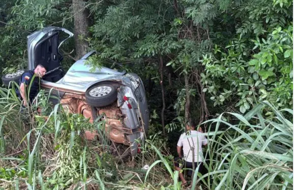 Após 22 dias, cachorrinha que ficou perdida depois de acidente é encontrada, no Paraná
