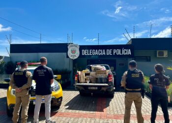 PCPR e PMPR incineram 700 quilos de drogas