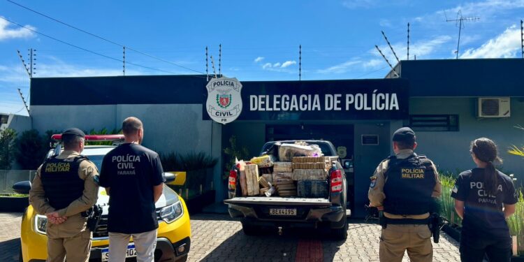 PCPR e PMPR incineram 700 quilos de drogas