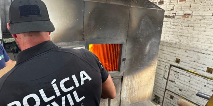 PCPR incinera mais de 15 quilos de drogas apreendidas durante o Verão Maior Paraná