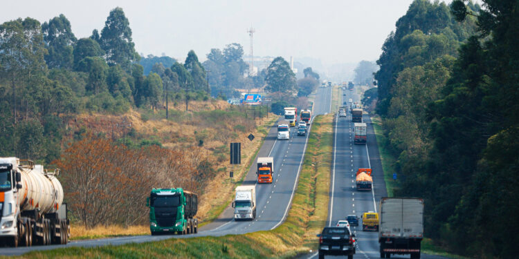 IPVA 2025: contribuintes já podem emitir as guias de pagamento no Paraná