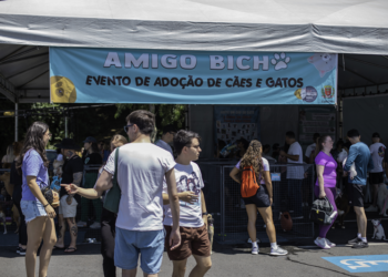 Rede de Proteção Animal de Curitiba levará 50 cães para adoção no Parque Barigui