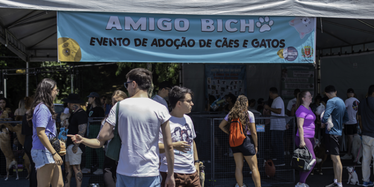 Rede de Proteção Animal de Curitiba levará 50 cães para adoção no Parque Barigui