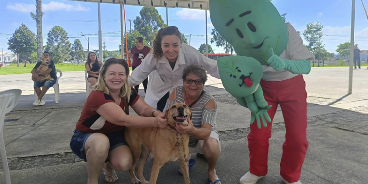 Rede de Proteção Animal de Curitiba vacina 170 cães e gatos; saiba onde será a próxima ação