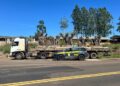 PRF apreende oliveiras argentinas importadas irregularmente no Paraná