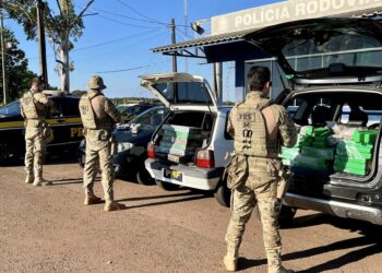 PRF apreende novo tipo de maconha “gourmet” no Paraná