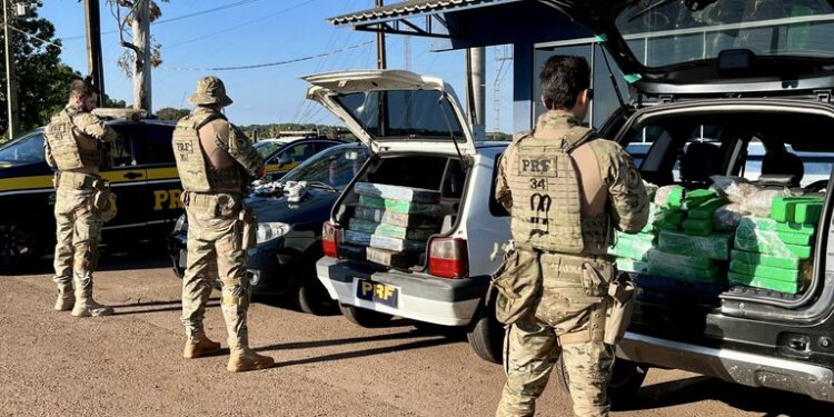 PRF apreende novo tipo de maconha “gourmet” no Paraná
