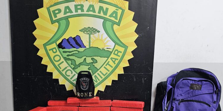 RONE aborda passageira que chegava em Curitiba na Rodoferroviária e encontra mala recheada de maconha