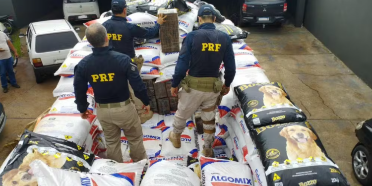 PRF apreende 3,6 toneladas de maconha, no Paraná