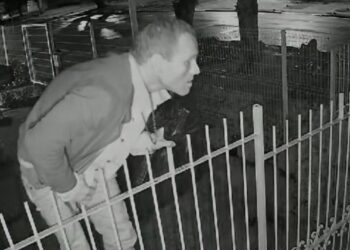 Criminoso invade empresa e leva eletrônicos e celulares