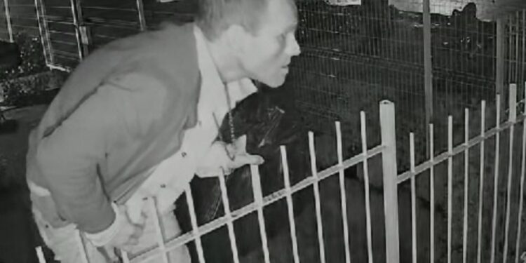 Criminoso invade empresa e leva eletrônicos e celulares