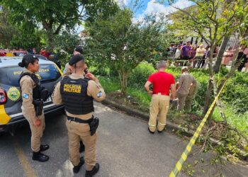 Homem morre ao tentar pegar limão e cair em valeta, em Curitiba