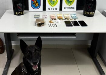 Debaixo de temporal, RONE e CIOC apreendem drogas em hotel no centro de Curitiba