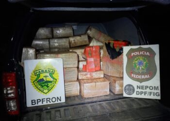 PM e PF apreendem 831 quilos de maconha no Paraná