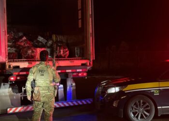 PRF faz maior apreensão de maconha do Paraná em 2025