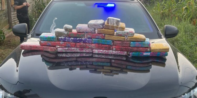 Polícia Civil deflagra megaoperação em Colombo contra organização criminosa ligada ao tráfico de drogas