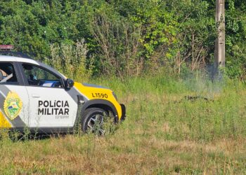 Corpo carbonizado em pneus em Curitiba é identificado