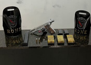 RONE cumpre mandado e apreende arma e munições em Quatro Barras