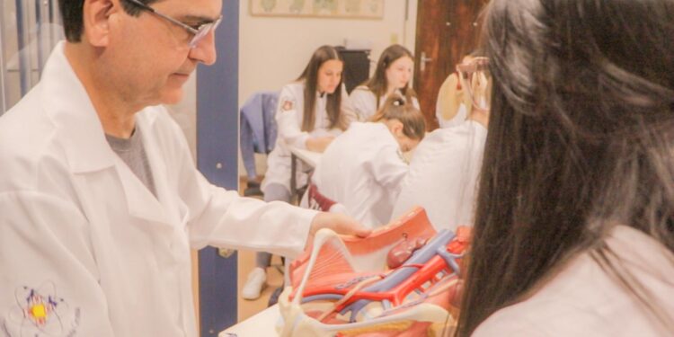Aulas de anatomia: doação de cadáveres é essencial para ensino nas áreas de saúde