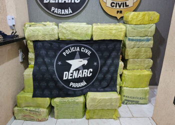 PCPR apreende quase uma tonelada de maconha