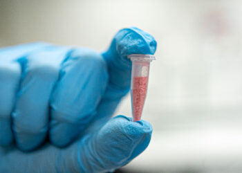 Polícia Científica identifica cocaína rosa após apreensão no Paraná