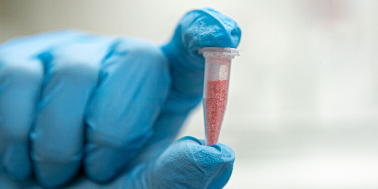 Polícia Científica identifica cocaína rosa após apreensão no Paraná