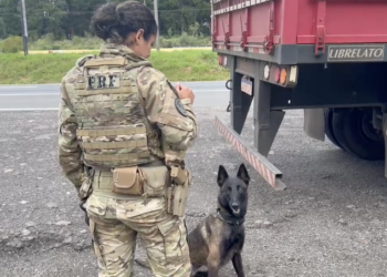 PRF apreende mais de 100 quilos de cocaína na região metropolitana de Curitiba (PR)