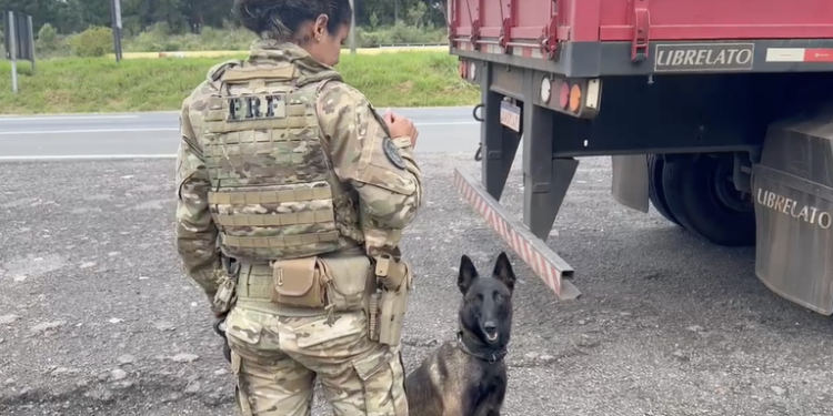 PRF apreende mais de 100 quilos de cocaína na região metropolitana de Curitiba (PR)