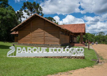 Filhote de paca nasce após intercâmbio de animais entre Parque Ecológico Klabin e Refúgio Biológico Bela Vista, da Itaipu Binacional