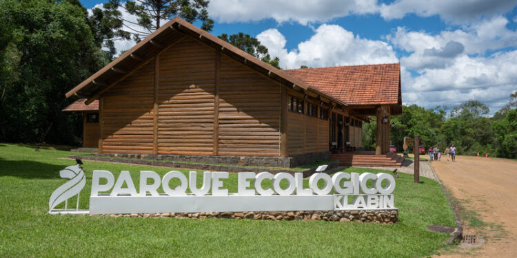 Filhote de paca nasce após intercâmbio de animais entre Parque Ecológico Klabin e Refúgio Biológico Bela Vista, da Itaipu Binacional